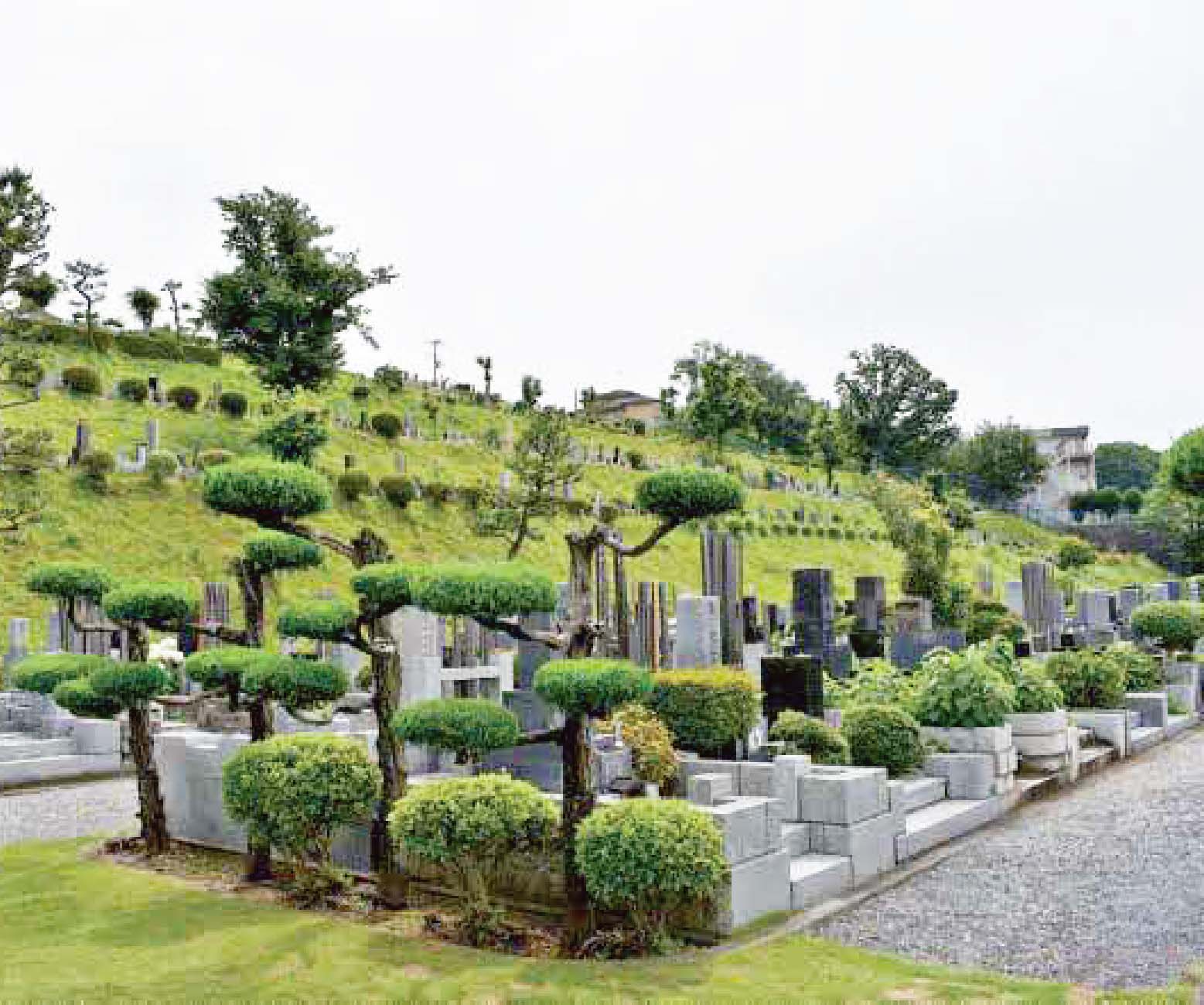 八王子市営 甲の原霊園