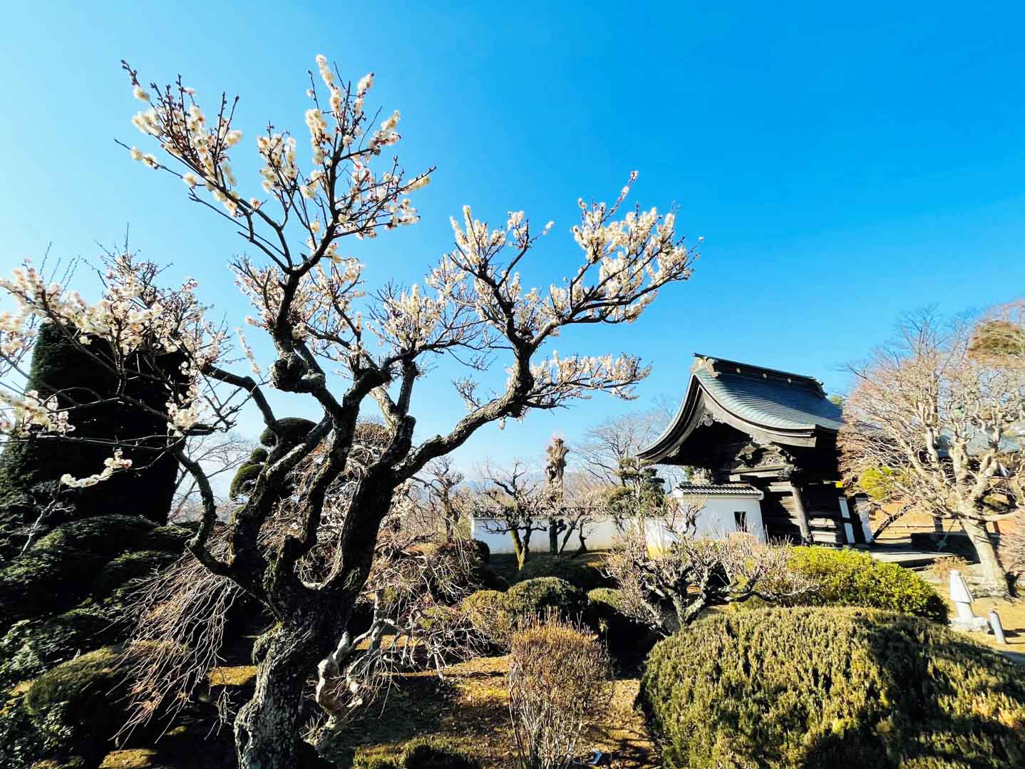 曹洞宗籌國山 長福寺