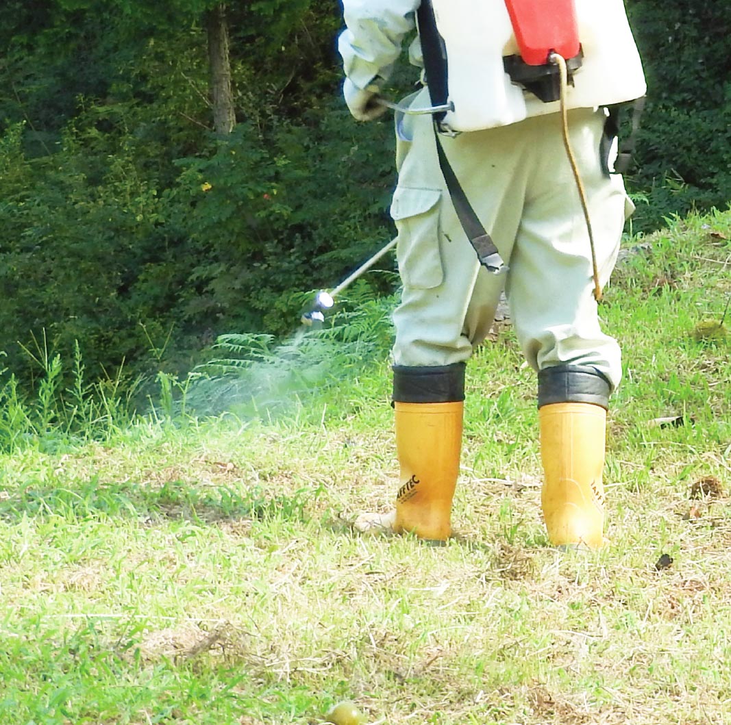 除草剤