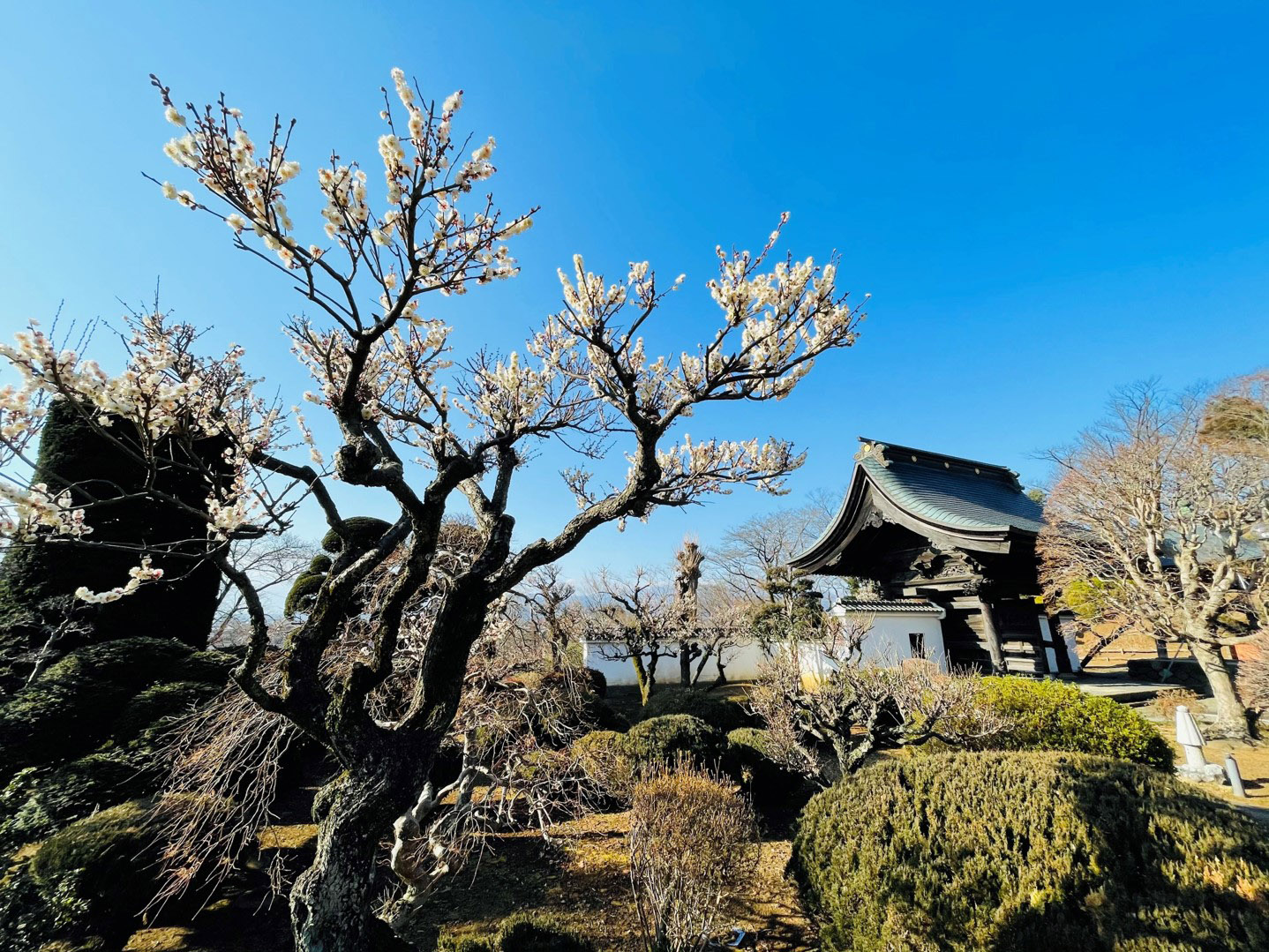 曹洞宗籌國山 長福寺