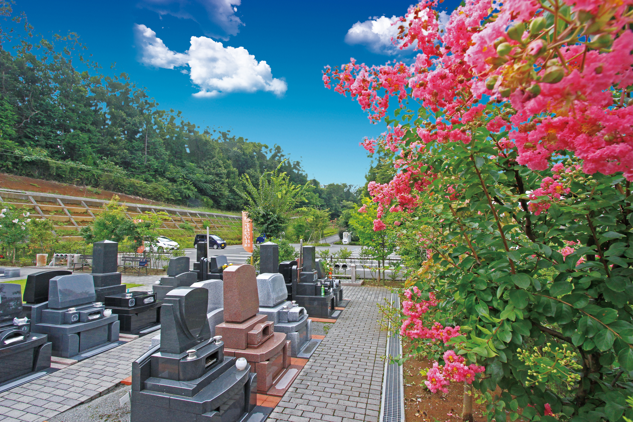 町田こもれびの杜 画像